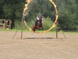 IMG_1663_web